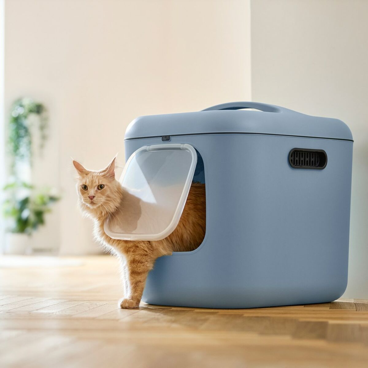 Arenero para Gatos Rotho Biala XL Azul Plástico - 5