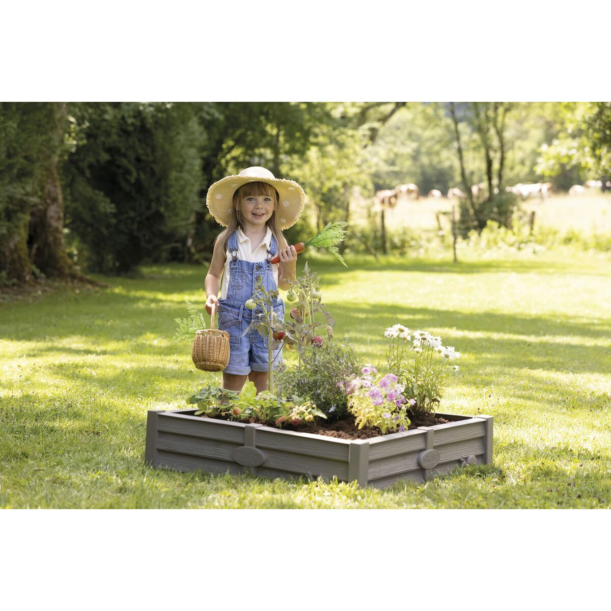 Arenero Smoby 76 x 17 cm Accesorio - Vista 4