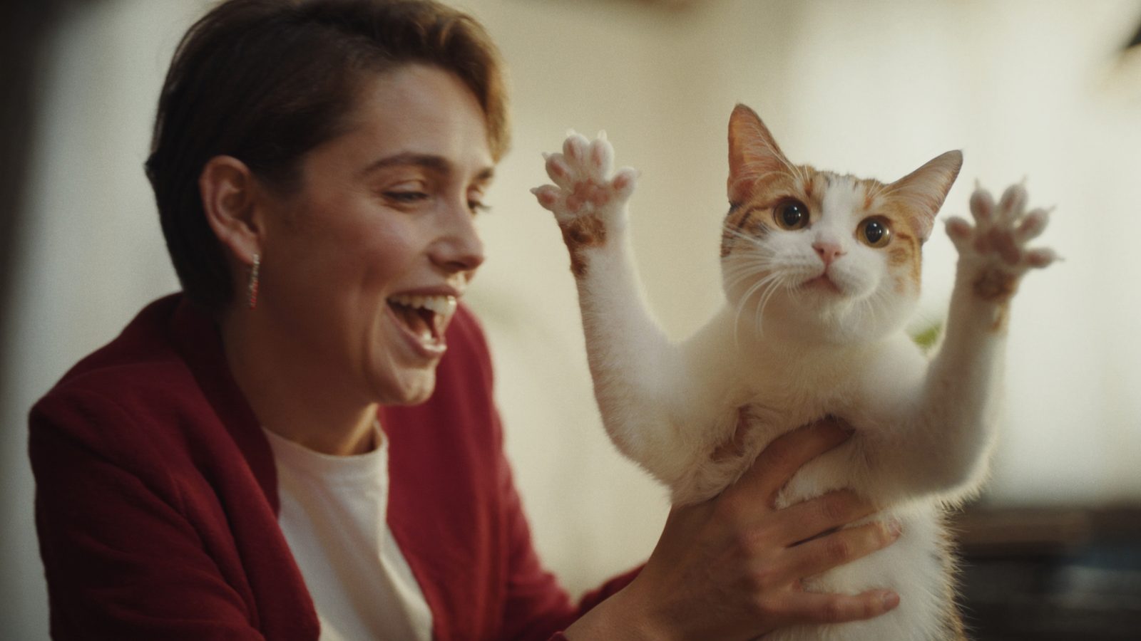 Como elegir mejor pienso para gatos calidad precio 2026