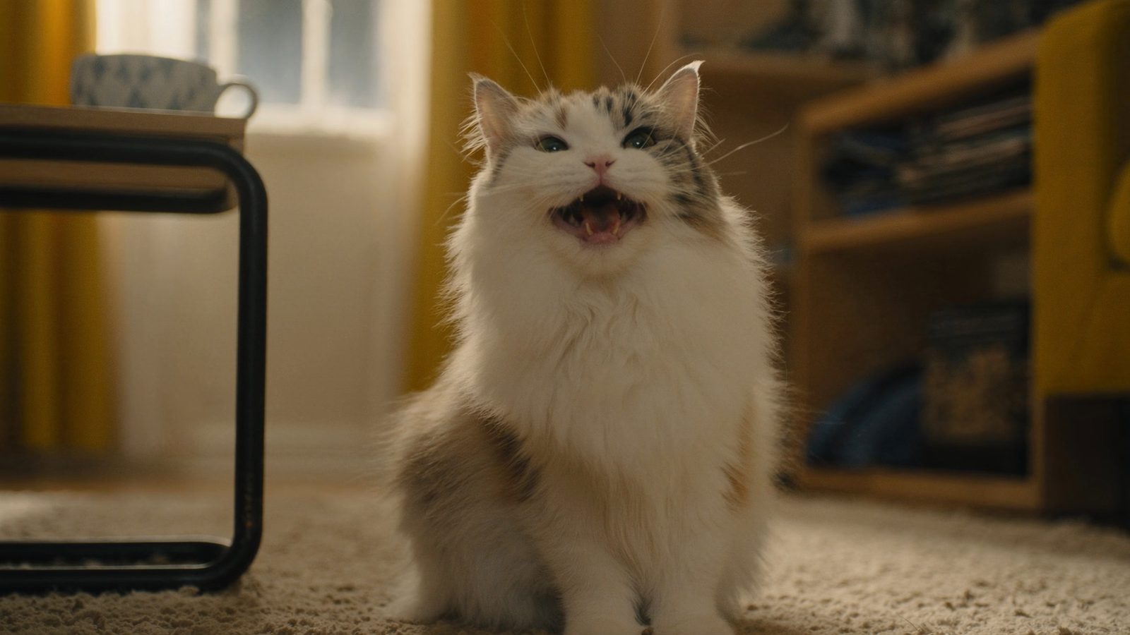 Purina pro plan sterilised opiniones