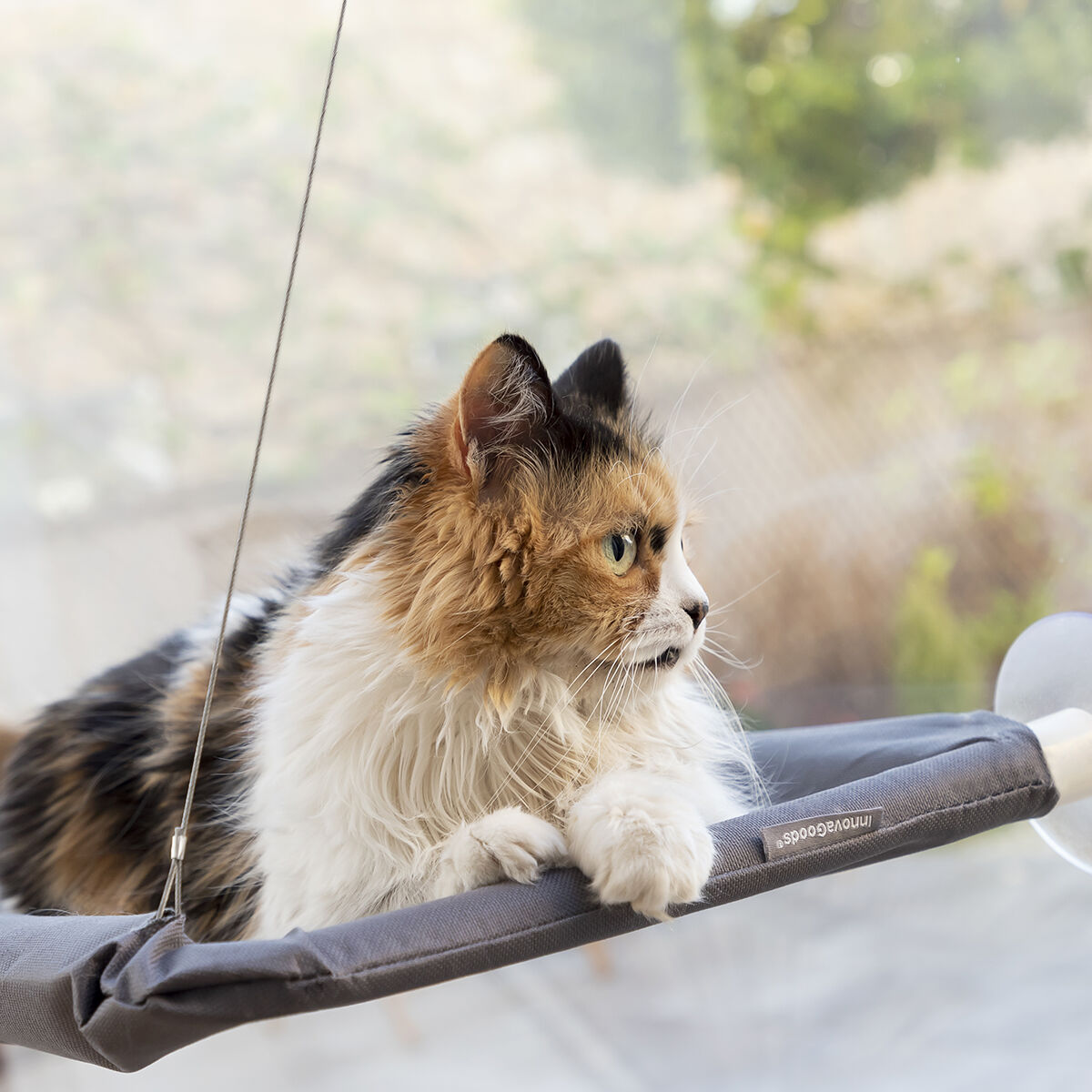 Hamaca colgante para gatos Catlax InnovaGoods, detalle 5