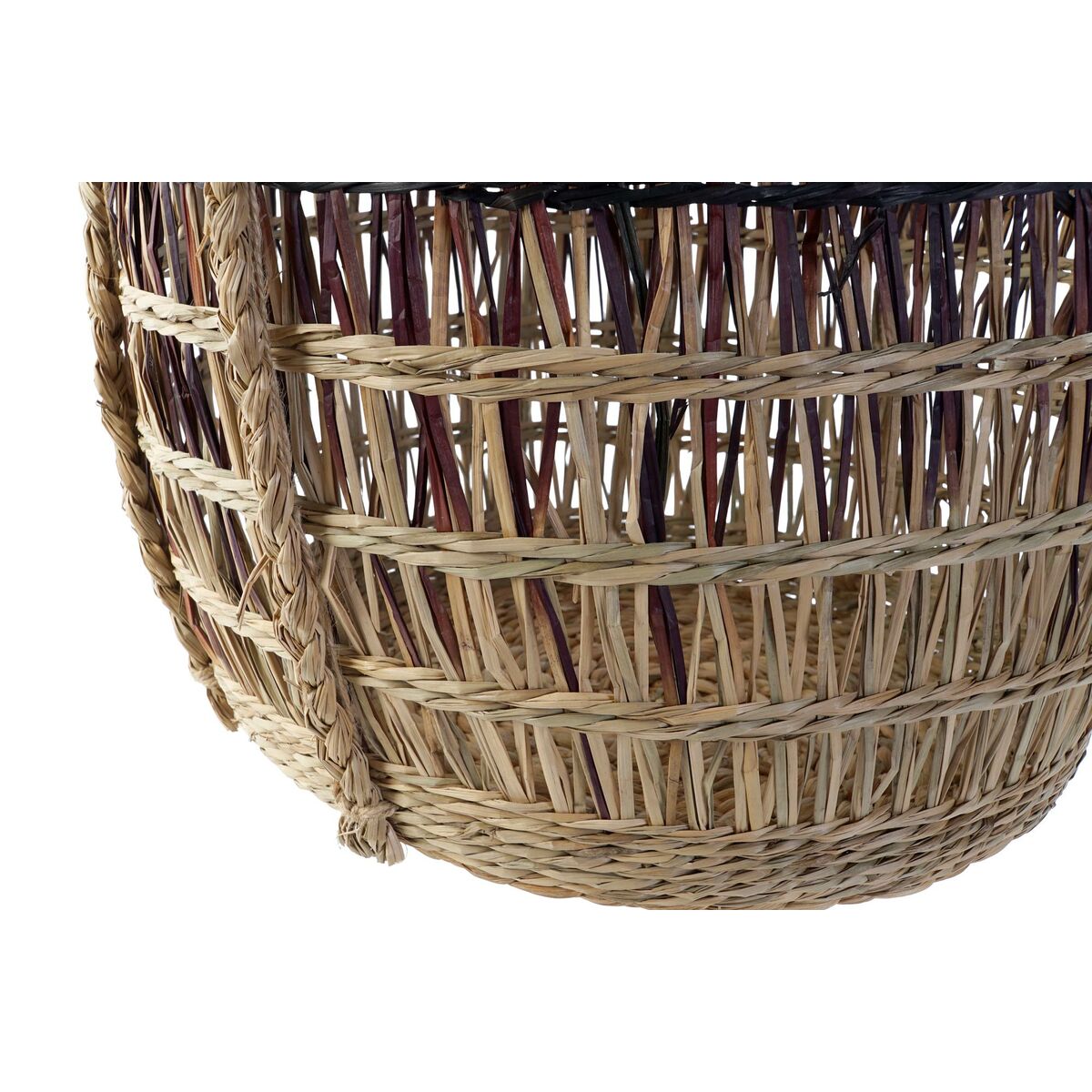 Hierba Gatera Natural Cultivable Maceta - Vista 2