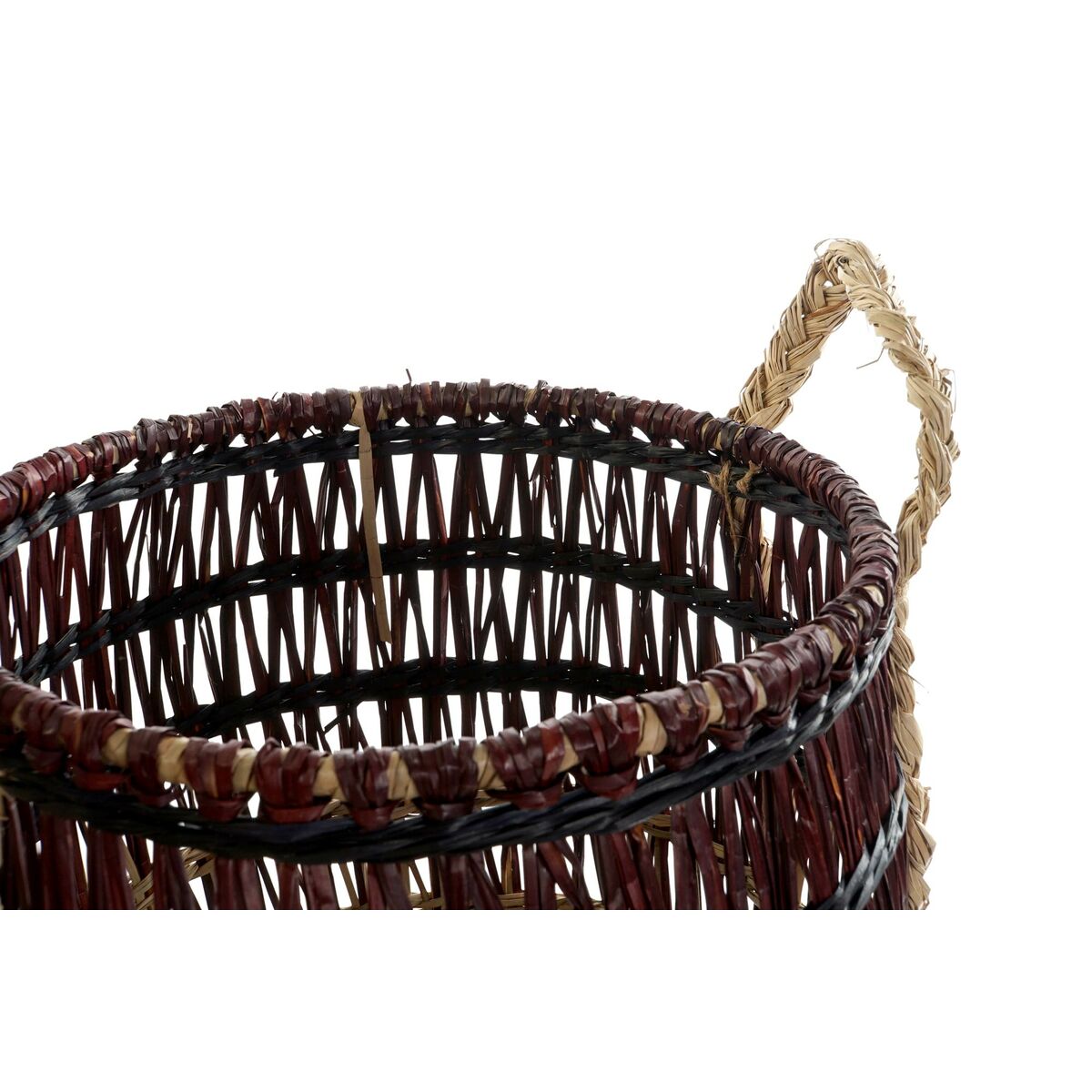 Hierba Gatera Natural Cultivable Maceta - Vista 3