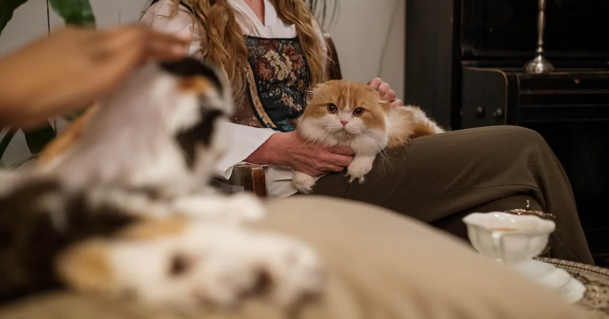 Cómo Mantener Hidratado a tu Gato: Guía Completa de Hidratación Felina Cómo Mantener Hidratado a tu Gato: Guía Completa de Hidratación Felina